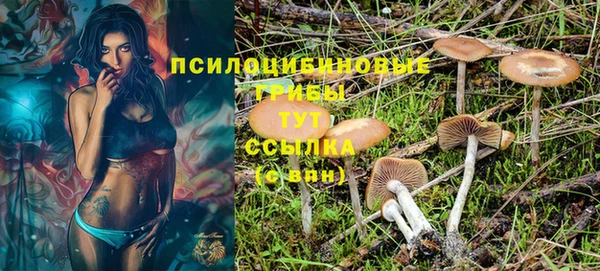 гашик Абинск