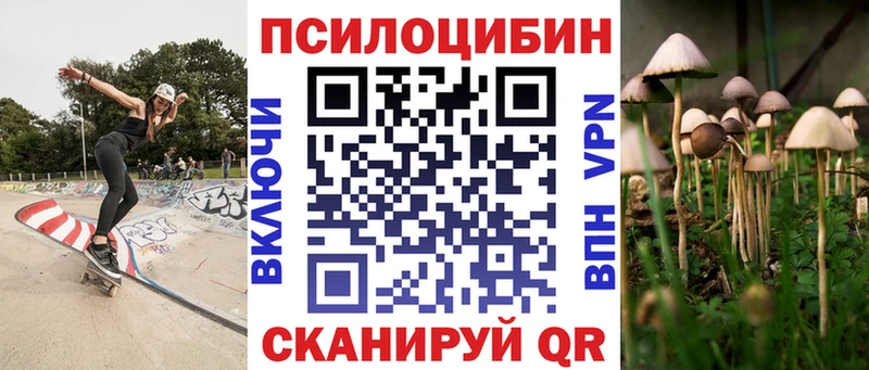 Псилоцибиновые грибы Psilocybe  магазин    Злынка 