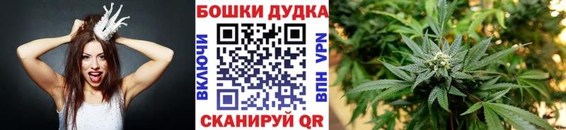 Канабис Amnesia Злынка